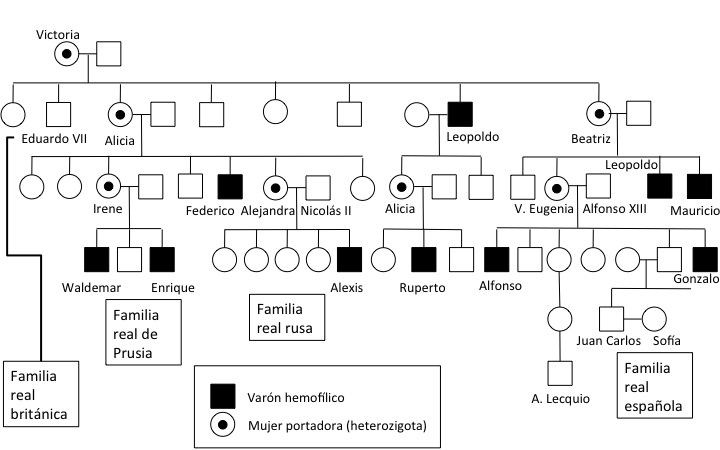 Árbol genealógico resumido mostrando la hemofilia en las familias reales europeas
