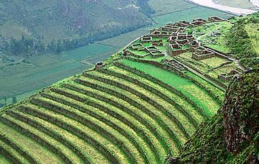 El Imperio Inca Sistema De Riego Terrazas De Cultivo