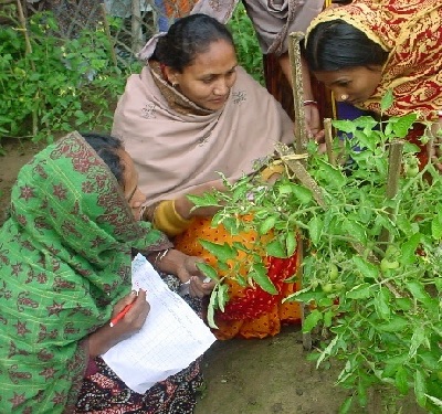 agricultura ecológica