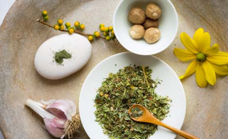 Fitoterapia, el remedio más natural