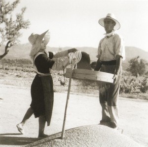 Fotografía del siglo XX que muestra la técnica rudimentaria utilizada en el trabajo del cereal, de la misma forma que en época moderna.