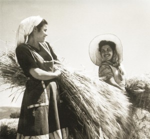 Dos trabajadoras recogiendo el cereal. Toda la familia se involucraba en el trabajo de las tierras.