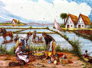 La Albufera, cultivo de arroz y origen de la paella valenciana