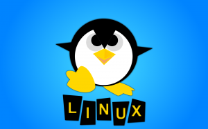 puertos linux