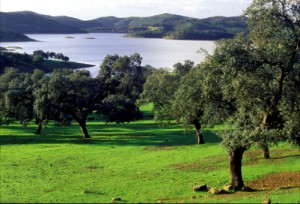 parque-natura-sierra-norte-sevilla-turismo-viajes