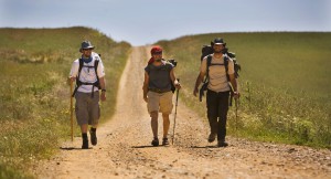 camino de santiago organizado