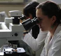 Como calculan la dosis de los medicamentos en niños 