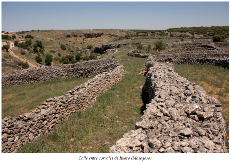 Trashumancia y aquitectura de piedra en seco en Albacete