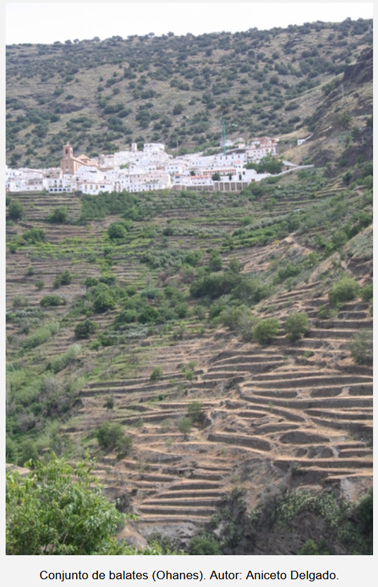 La técnica de la piedra seca en Andalucía