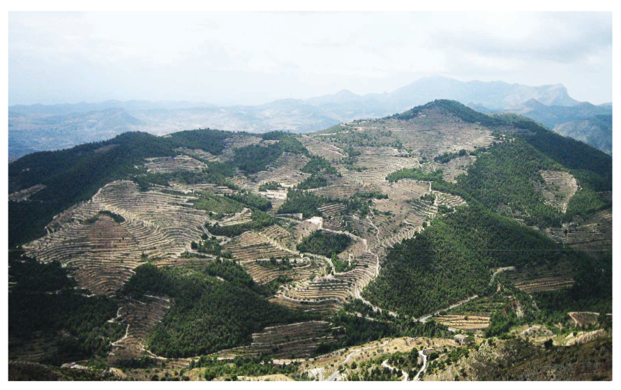 Terrazas de La Marina