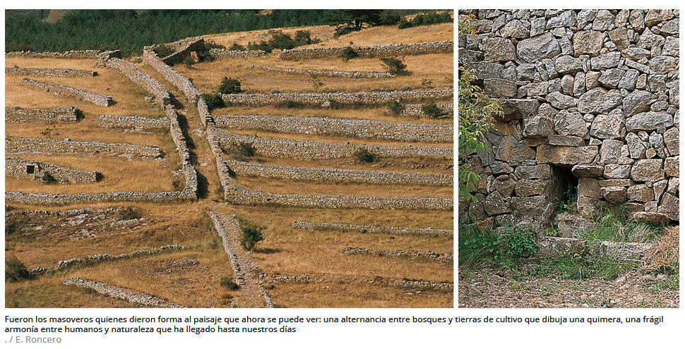 Habitar la montaña