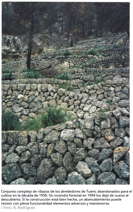 Paisaje y piedra seca en Mallorca
