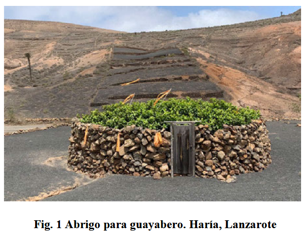 El Arte de la Piedra Seca en Canarias
