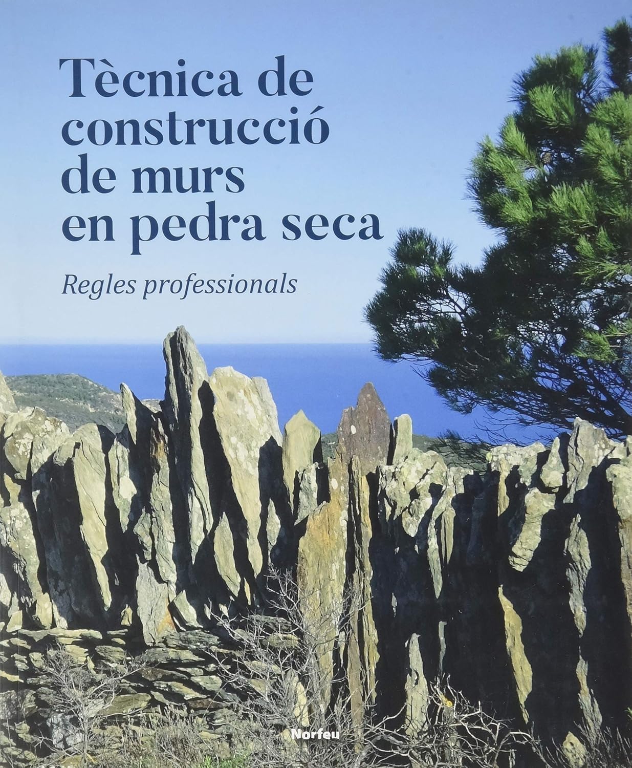 Tècnica