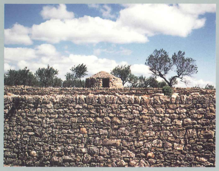 Castellón