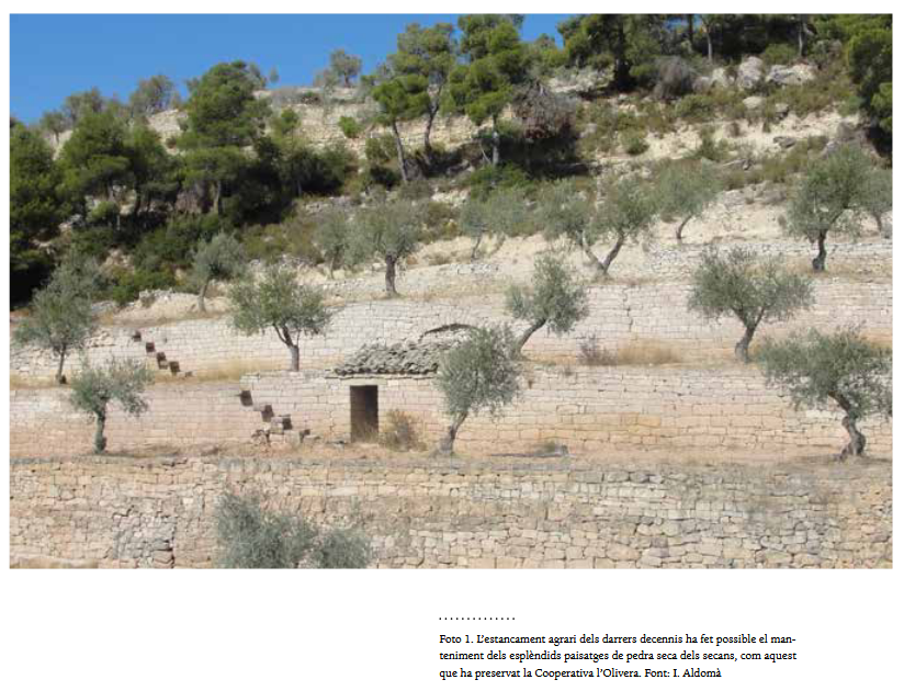 Congres Pedra Seca 2018