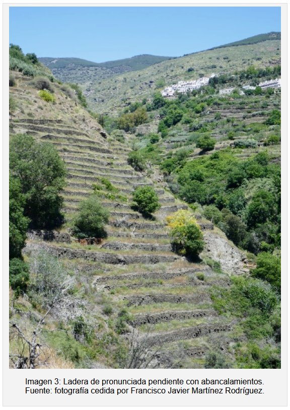 La uva de Almería