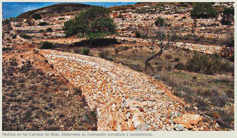 La Piedra Seca como eje del paisaje del Chive y Las Moletas