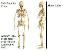 Media de altura y talla torácica de los mozos en 1920.