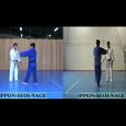 Ejecución técnica de la proyección de Judo Ippon Seoi Nague.