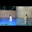 Ejecución técnica del saludo de rodillas en Judo