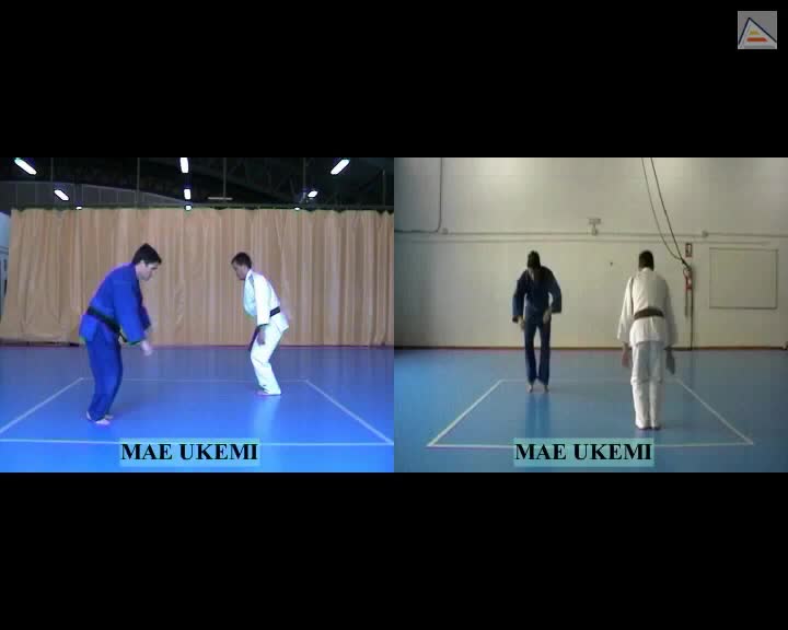 Mae Ukemi. Caída adelante de Judo