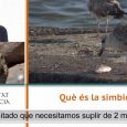 Què és la simbiosi? – Rosario Gil, Institut Cavanilles de Biodiversitat i Biologia Evolutiva de la Universitat de València – UV