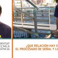 ¿Que relación hay entre el procesado de señal y los delfines? – Guillermo Lara – Ingeniero de Telecomunicación -Instit. de Telecomunicaciones y Aplic. Multimedia – UPV