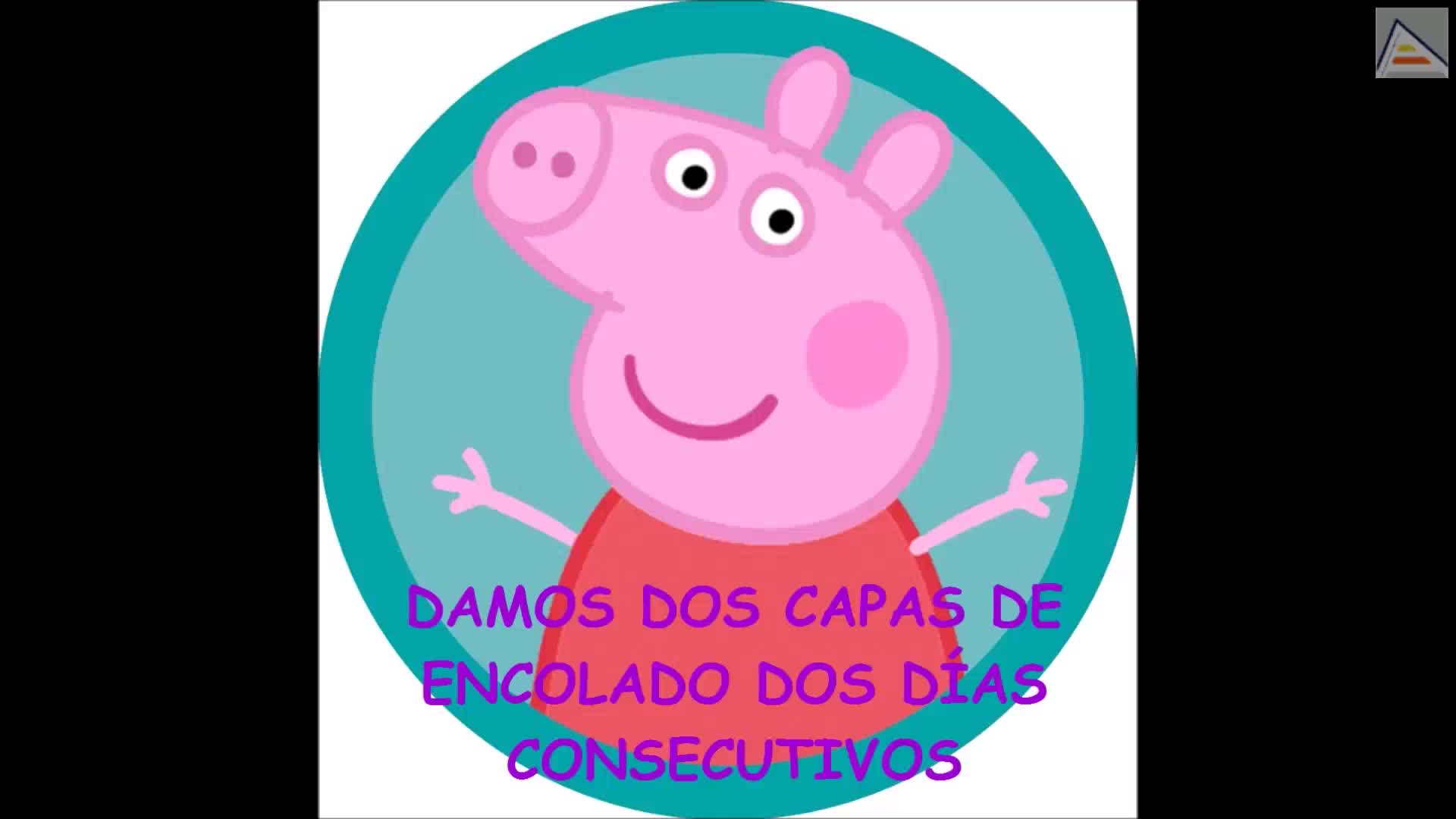 Esqueletizacion cochinillo grupo