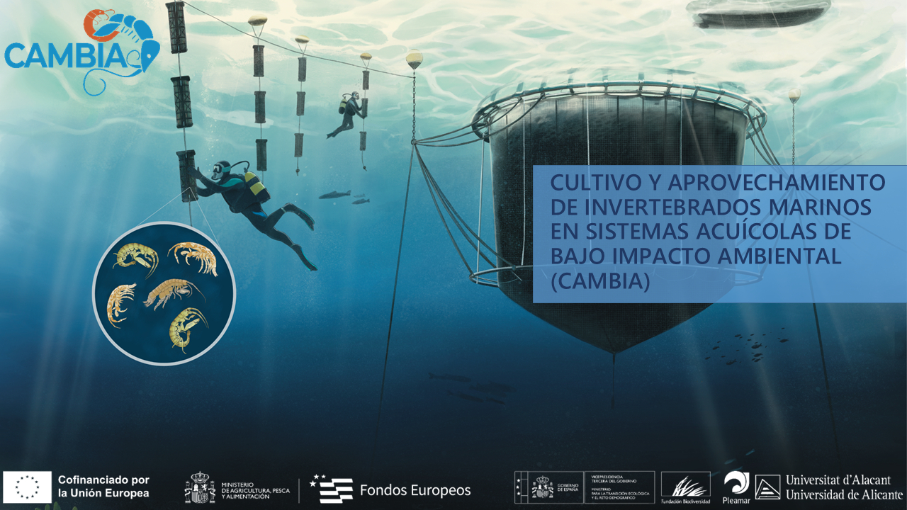 Proyecto CAMBIA – Pleamar 2023