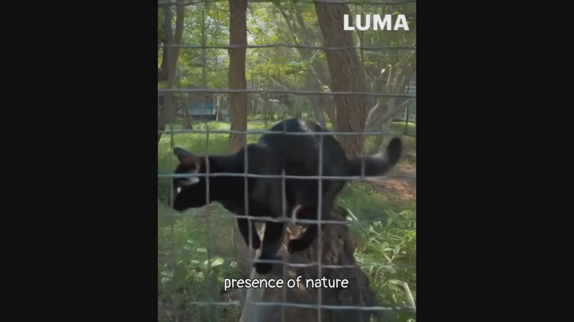 UoU 2025 2026 video example 3