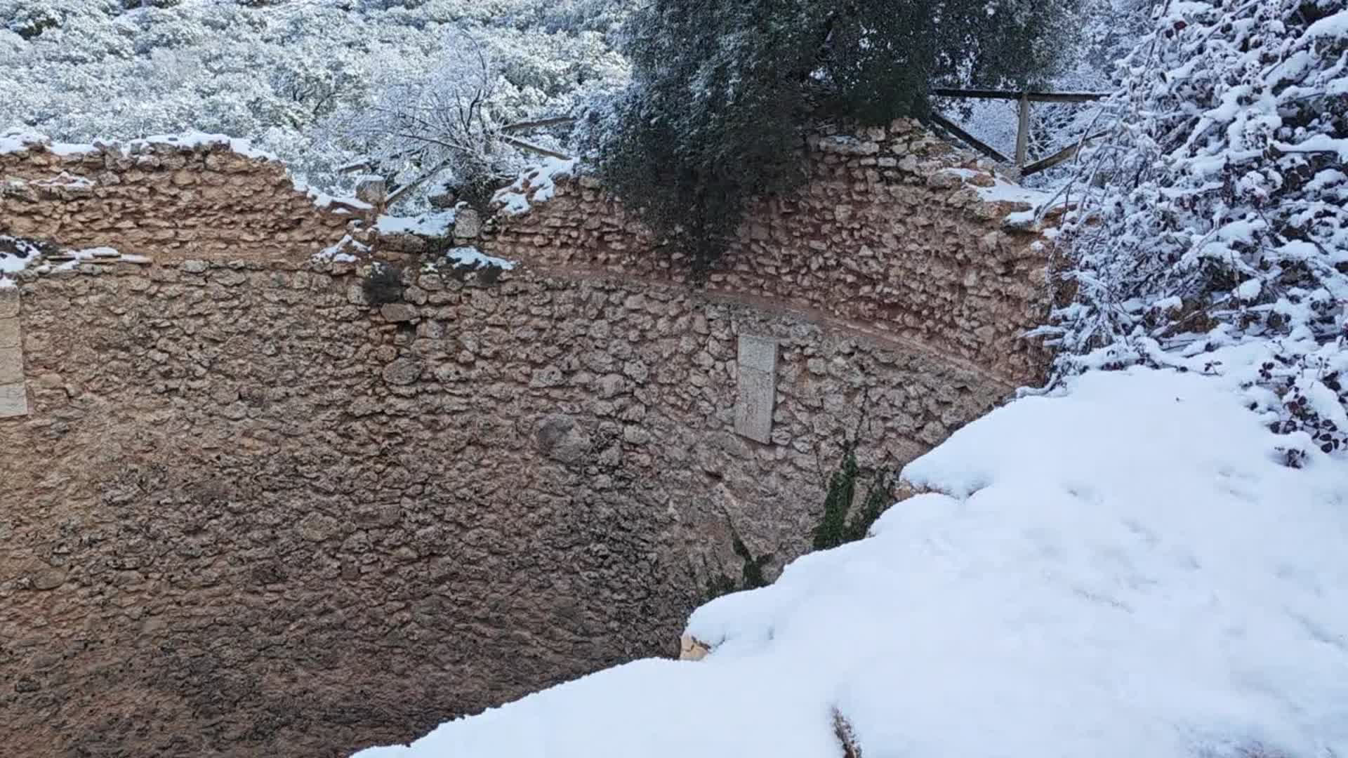 Cava de Coloma 1