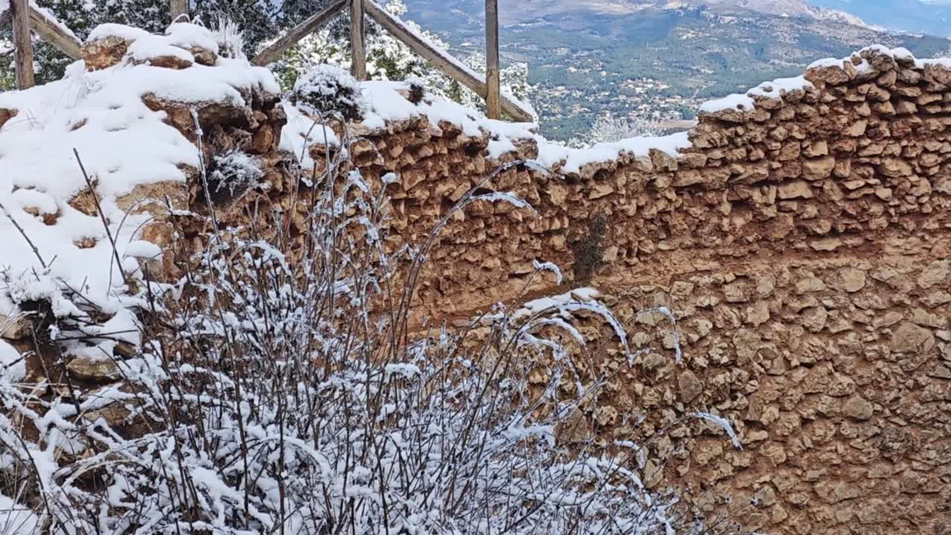 Cava de Coloma 2