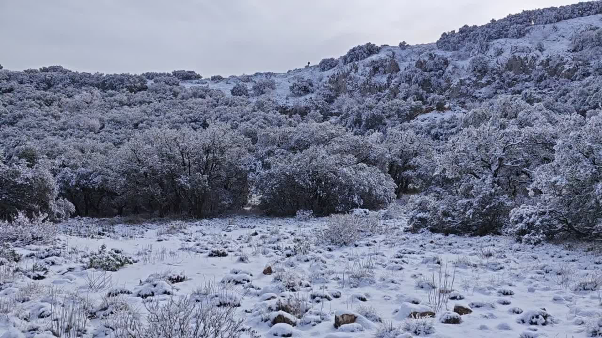 Cava de Coloma 4, casa de los nevateros