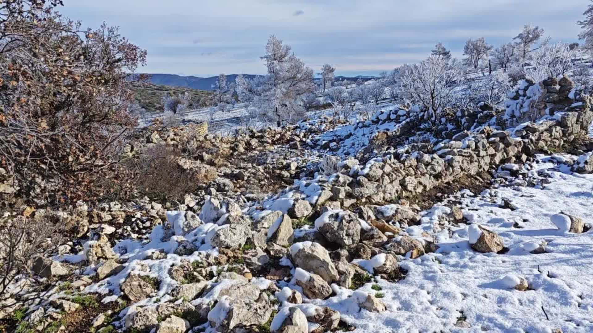 Cava de Simarro, 06/01/2026 6