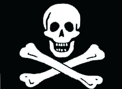 Image result for bandera pirata